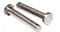 Stainless Steel Grey Polished Clevis Pins