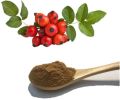 Natural Rosehip Extract Enriched With Vitamin C Veg. Capsule