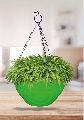 Hanging Flora Basket Planter