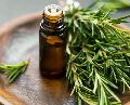 rosemary essential oil