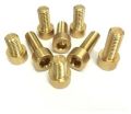 Alloy C37710 Brass Fasteners