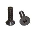 Stainless Steel Round Black Polished Countersunk Bolts