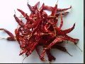 273 Wrinkle Dried Red Chilli with Stem