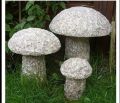 granite mushrooms