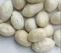 White bleached dried amra pods