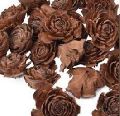 Brown dried cedar rose