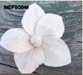 White sola mini lotus flower