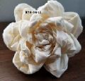 White sola momo rose flower