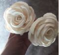 White sola roma rose flower