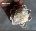 Sola Rose Flower