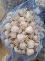 Fresh Garlic Bulbs