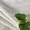 52-43-5% Hemp Cotton Elastic Fabric