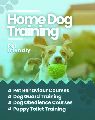dog training services