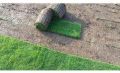 Natural Mexican grass 13 rs square feet