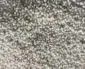Polished Barnyard Millet Seeds