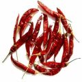 S-273 Wrinkle Dry Red Chili