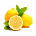 A Grade Fresh Lemon