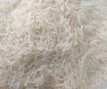 Soft 1509 White Sella Basmati Rice