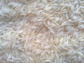 Soft White 1718 raw basmati rice