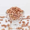 Organic Raw Peanut Kernel