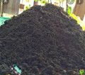 Cow Dung Black-brown vermicompost fertilizer