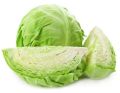 White Fresh Cabbage