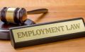 Employment Law Services