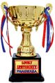 Metal Trophy Cup