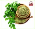 Natural Green Sharr moringa leaves powder