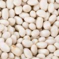 White Dried Beans