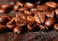 Brown Arabica Coffee Bean