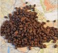 Brown Ethiopian Coffee Bean