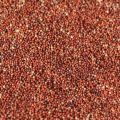 Red natural ragi seed