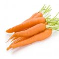 Fresh Orange Carrot