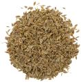 Dill Seeds