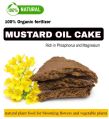 100% Pure Mustard oil cake