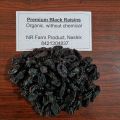 Premium Black Raisins