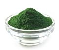 Green Herbal Spirulina Powder