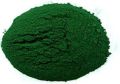 Green natural spirulina powder