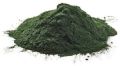 Green organic spirulina powder