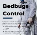 PCI pest control service