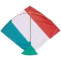 Tiranga Paper Kite