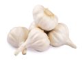 A Grade Fresh Garlic