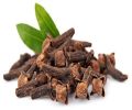 cloves