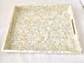 Polished Square White mop tray