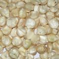 White Maize Seeds
