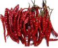 Dried Red Chilli with Stem