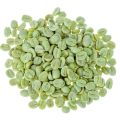 Fermented raw green coffee beans