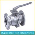 HASTELLOY NON RETURN VALVES