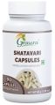 Shatavari Capsules